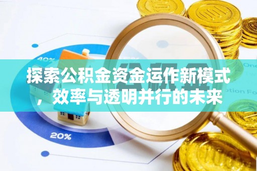 朗县探索公积金资金运作新模式，效率与透明并行的未来
