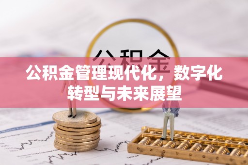 朗县公积金管理现代化，数字化转型与未来展望