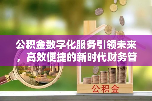 朗县公积金数字化服务引领未来，高效便捷的新时代财务管理