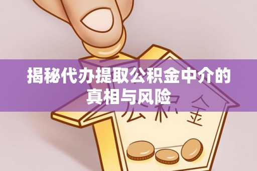 朗县揭秘代办提取公积金中介的真相与风险