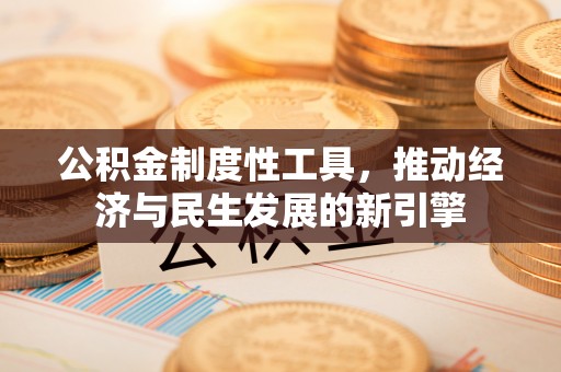 朗县公积金制度性工具，推动经济与民生发展的新引擎