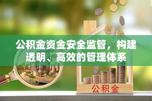 朗县公积金资金安全监管，构建透明、高效的管理体系