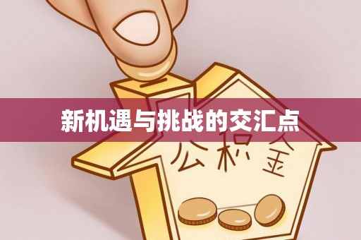 朗县新机遇与挑战的交汇点