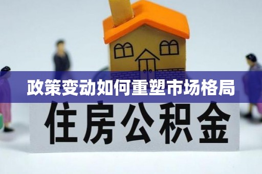 朗县政策变动如何重塑市场格局