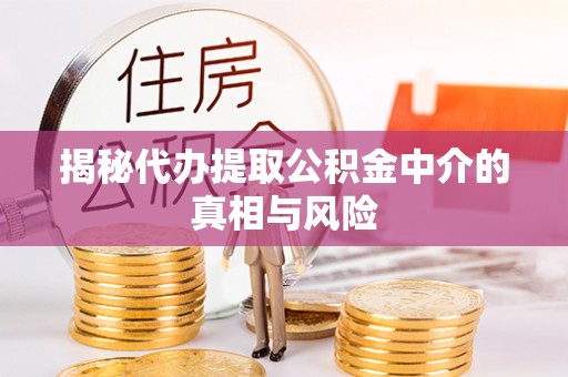 朗县揭秘代办提取公积金中介的真相与风险