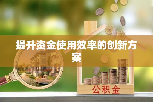 朗县提升资金使用效率的创新方案