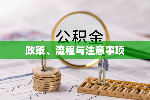 朗县政策、流程与注意事项