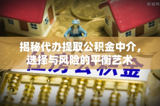 朗县揭秘代办提取公积金中介，选择与风险的平衡艺术