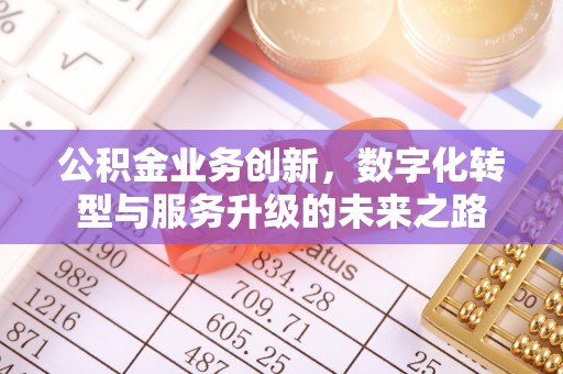 朗县公积金业务创新，数字化转型与服务升级的未来之路
