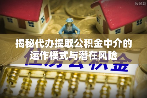 朗县揭秘代办提取公积金中介的运作模式与潜在风险
