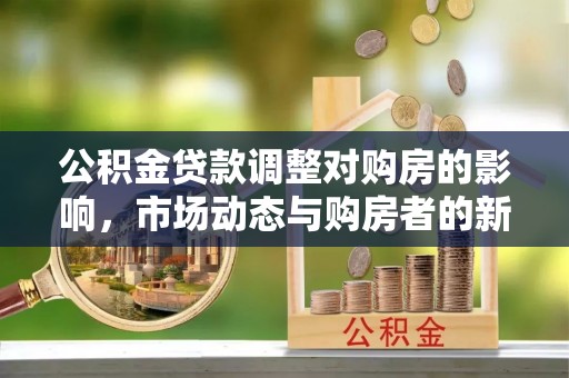 朗县公积金贷款调整对购房的影响，市场动态与购房者的新选择