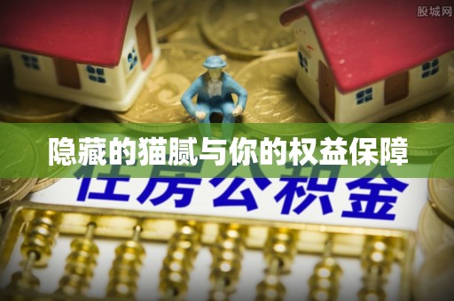 朗县隐藏的猫腻与你的权益保障