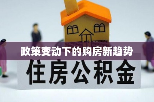 朗县政策变动下的购房新趋势