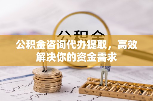 朗县公积金咨询代办提取，高效解决你的资金需求
