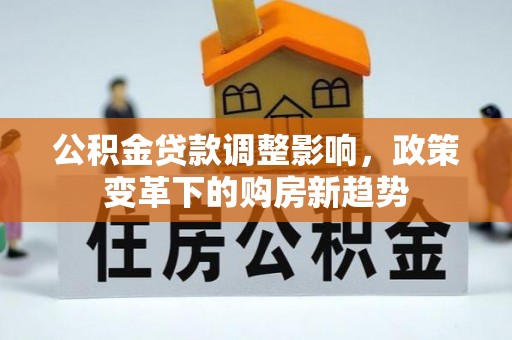 朗县公积金贷款调整影响，政策变革下的购房新趋势