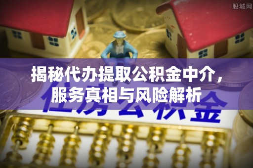 朗县揭秘代办提取公积金中介，服务真相与风险解析