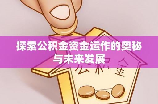 朗县探索公积金资金运作的奥秘与未来发展