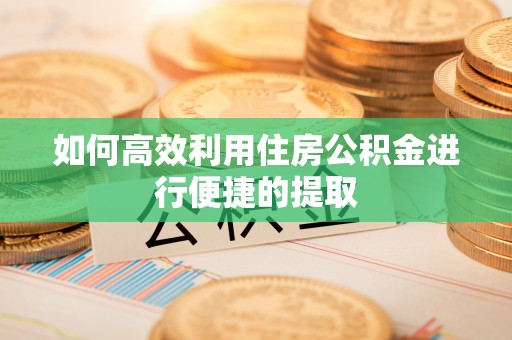 朗县如何高效利用住房公积金进行便捷的提取