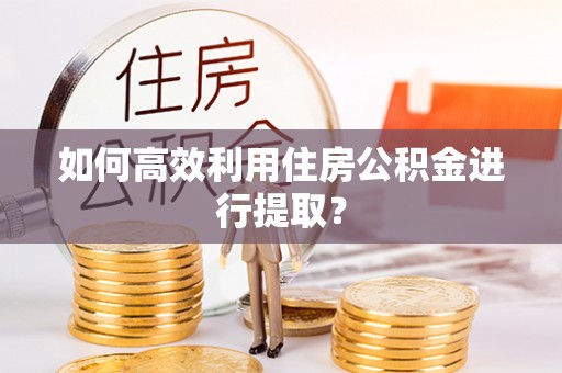 朗县如何高效利用住房公积金进行提取？