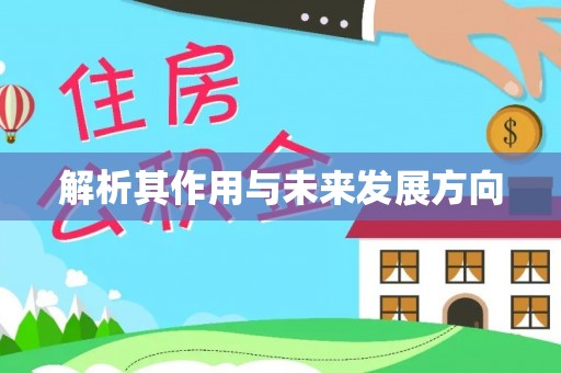 朗县解析其作用与未来发展方向