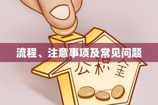朗县流程、注意事项及常见问题