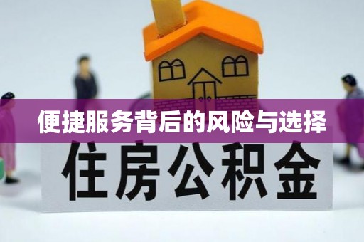 朗县便捷服务背后的风险与选择
