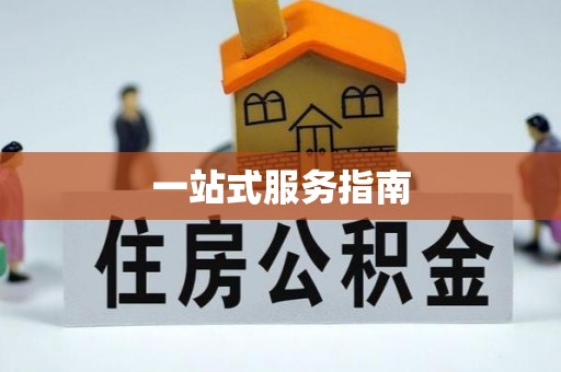 朗县一站式服务指南