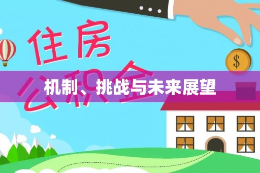 朗县机制、挑战与未来展望